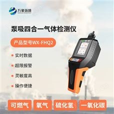 WX-FHQ2便攜式氣體檢測(cè)儀