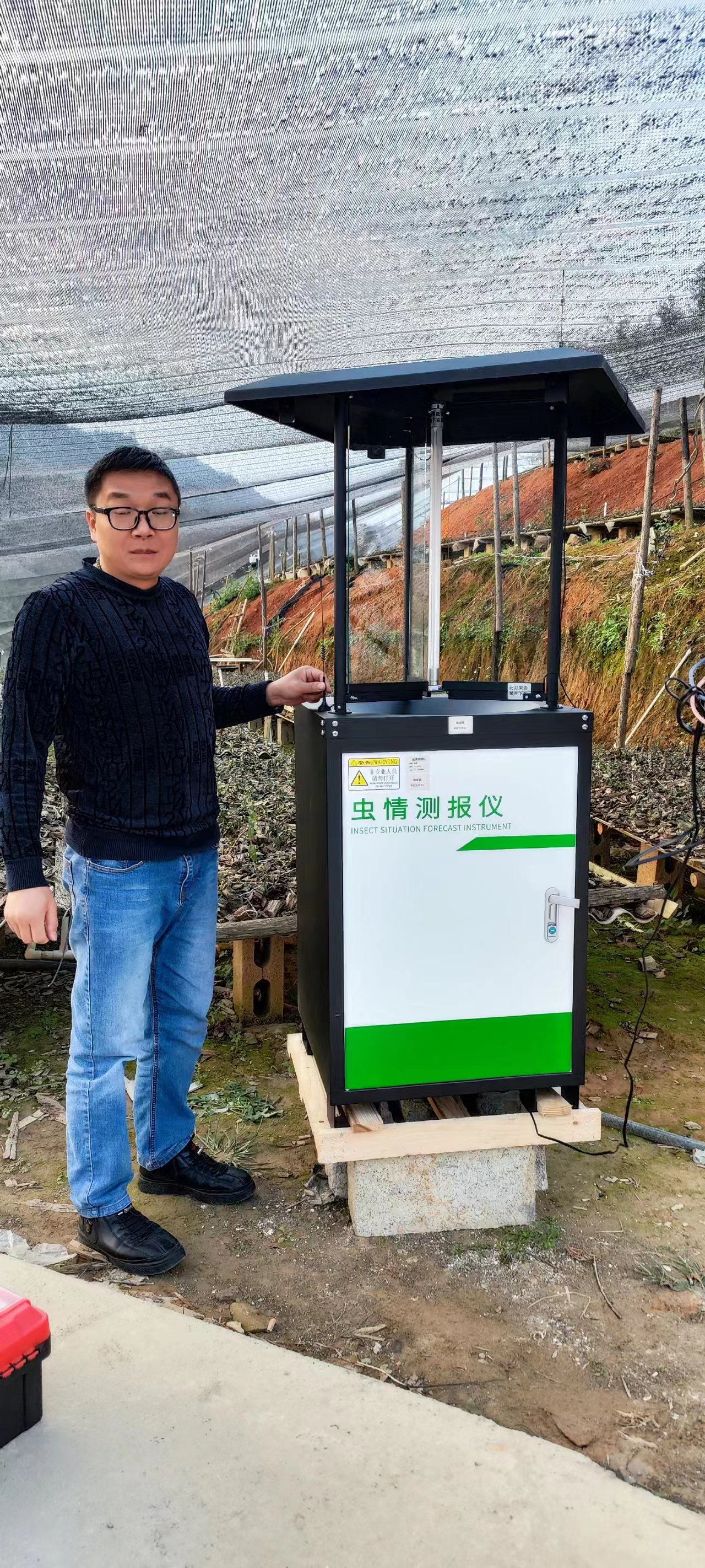 广西茶园防虫添 “利器”！风途物联网虫情测报灯守护茶香品质
