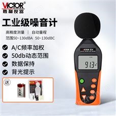 勝利VC824C勝利VC824工業性數字噪音計（2024款）