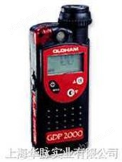 GDP2000可燃氣體檢測儀