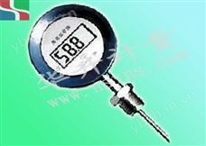 HS-W100就地溫度顯示儀