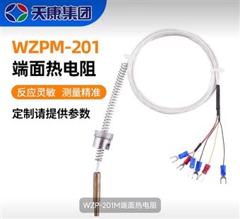 WZPM-201Y压平面热电阻-特殊型热电阻