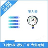 FC-Y系列压力表