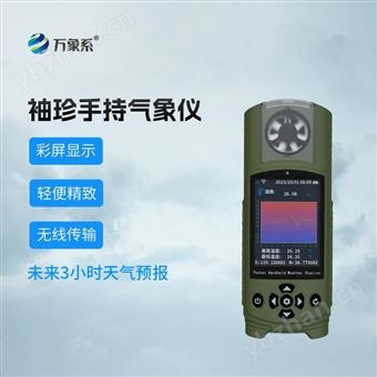 WX-SQ17应急管理手持气象仪