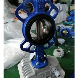 精小型电动对夹蝶阀