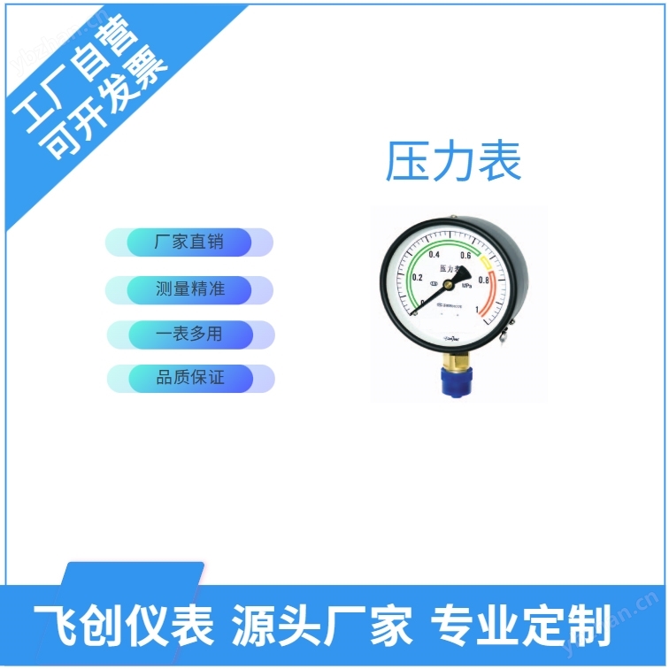 FC-Y系列压力表