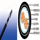 RE-2X(St)HSWAH总屏蔽铠装仪表电缆(多芯)