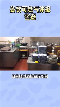 餐飲可燃氣體濃度報警器