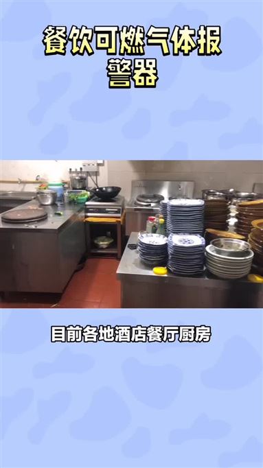 餐飲可燃氣體濃度報警器