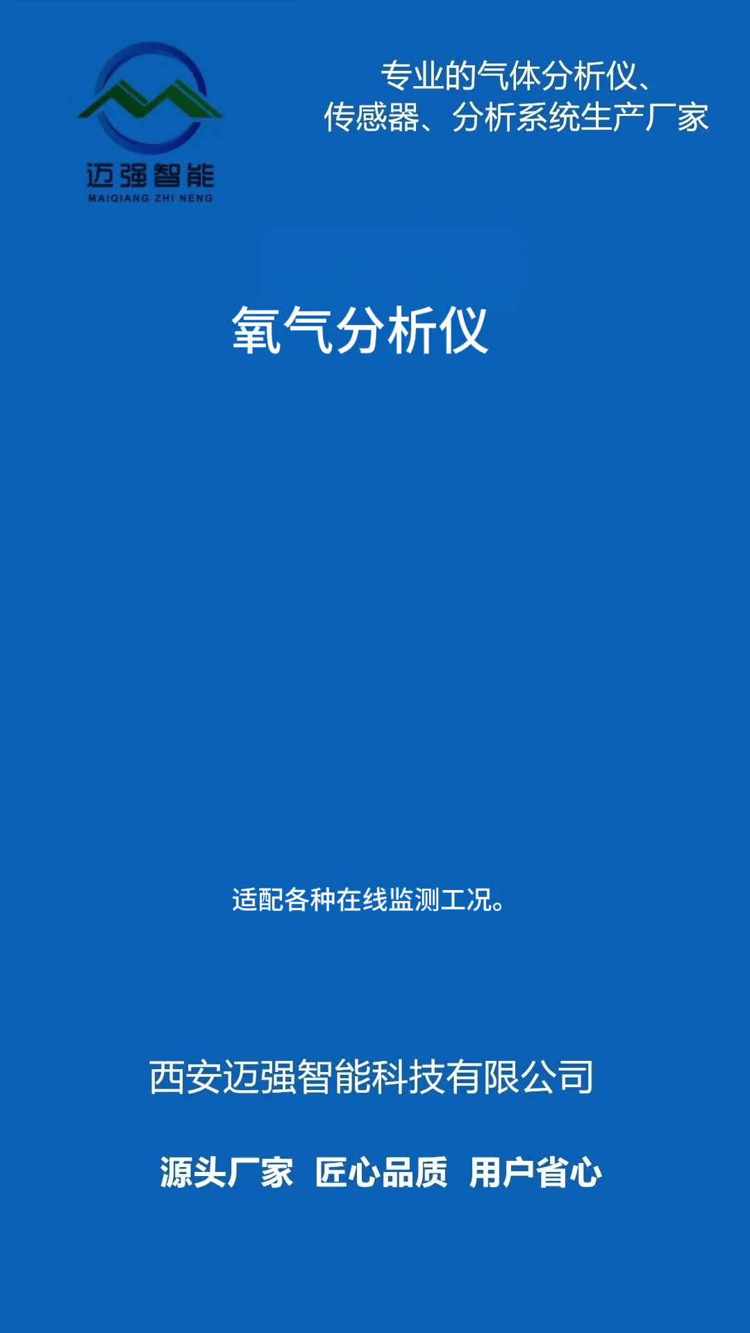 氧气分析仪 高精度在线检测