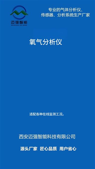 氧气分析仪 高精度在线检测