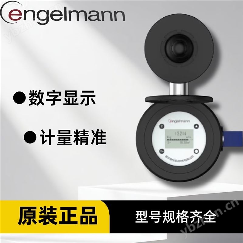 恩樂(lè)曼插入式電磁流量計(jì)