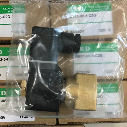 CKD無桿氣缸的軸徑和缸徑是一樣的嗎