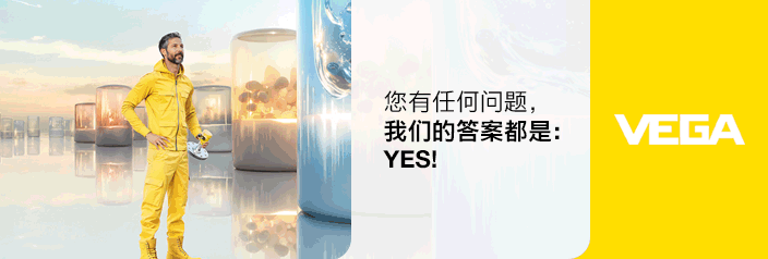 威格（中國）儀表有限公司