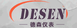 江蘇德森儀表有限公司