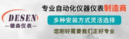 江蘇德森儀表有限公司