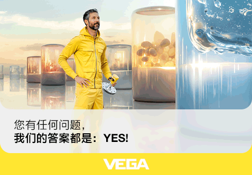 威格（中国）仪表有限公司