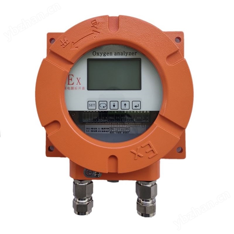 防爆氧含量分析儀