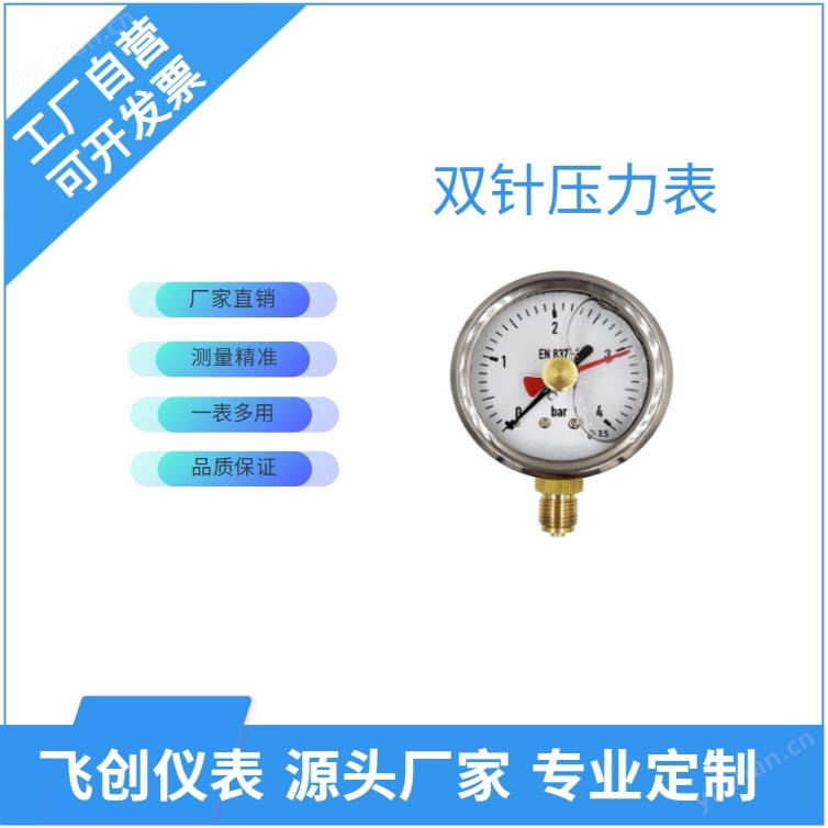 FC-YZS双针压力表