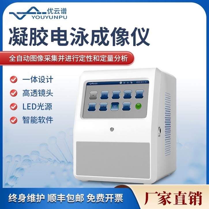 凝胶电泳成像仪