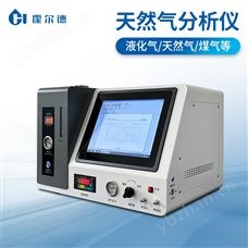 GC-R2天然气分析仪一体机