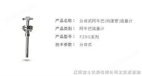 均速管（阿牛巴）流量计