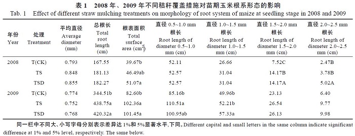 DJ-3010根系图像分析仪