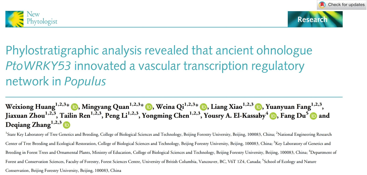 DAP-seq助力揭示杨树次生维管系统发育遗传调控机制
