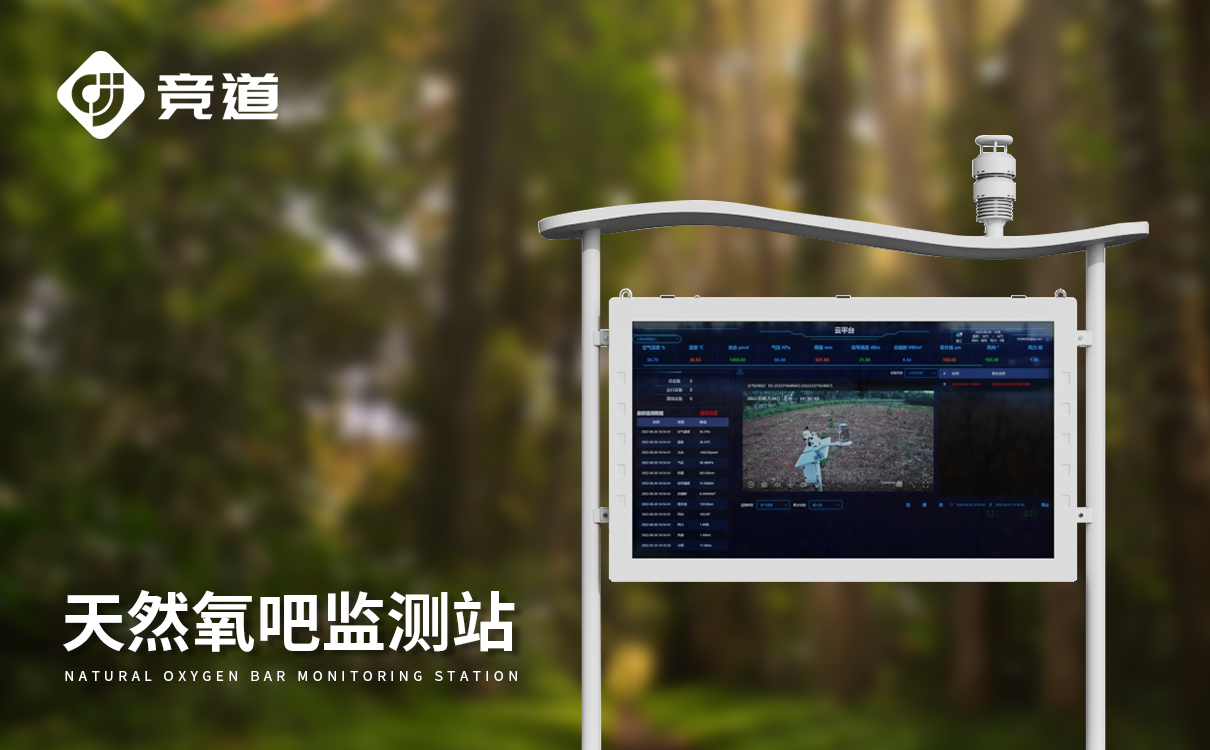 大气负氧离子在线监测系统 大气负氧离子在线监测系统