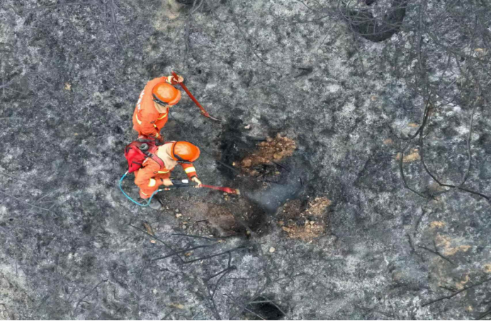 應急調度與自動巡防并舉，大疆無人機智能防控森林火患