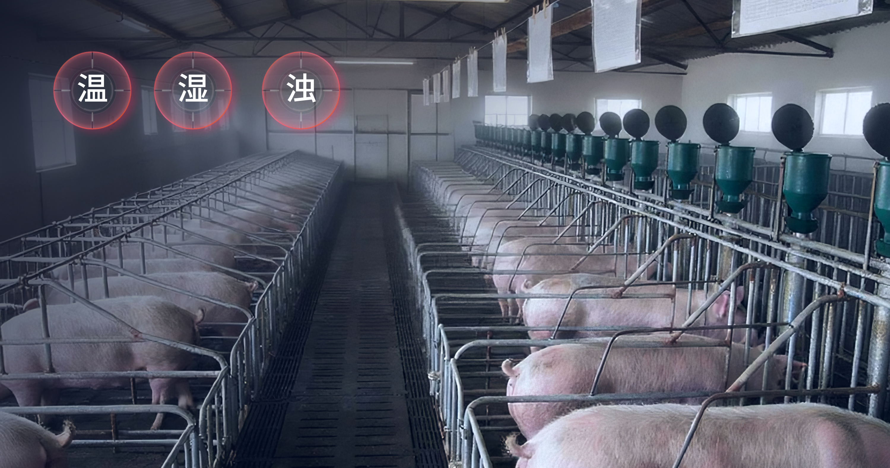 298274477b7c7170f2e6c6cfceb4763e.png 寒冬已至,您猪舍内的CO₂变送器还好吗?