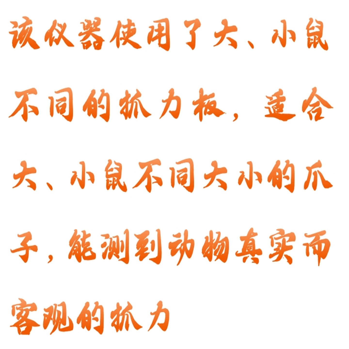 大小鼠抓力测定仪/握力测定仪 型号:M608-YLS-13A库号：M412120