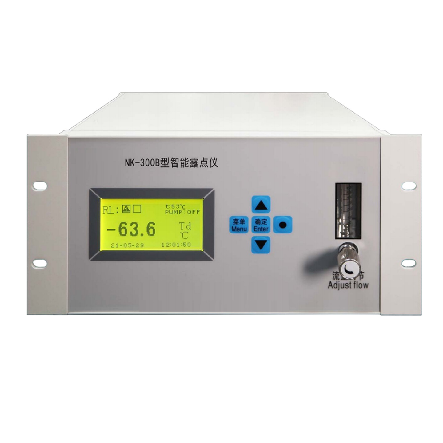 在线式五氧化二磷气体分析仪型号:NK-300A库号:M412848