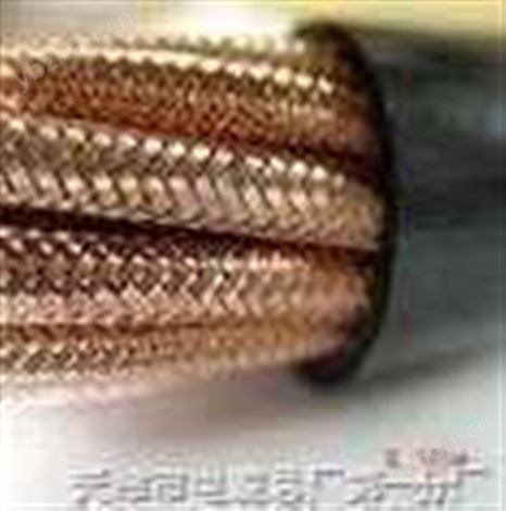 計(jì)算機(jī)電纜djyvp,DJVVP