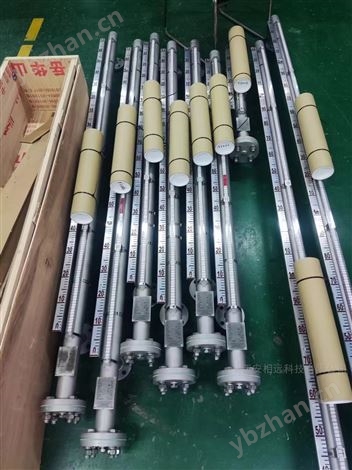 貴州普定能源電廠德國(guó)IA磁翻板液位計(jì)
