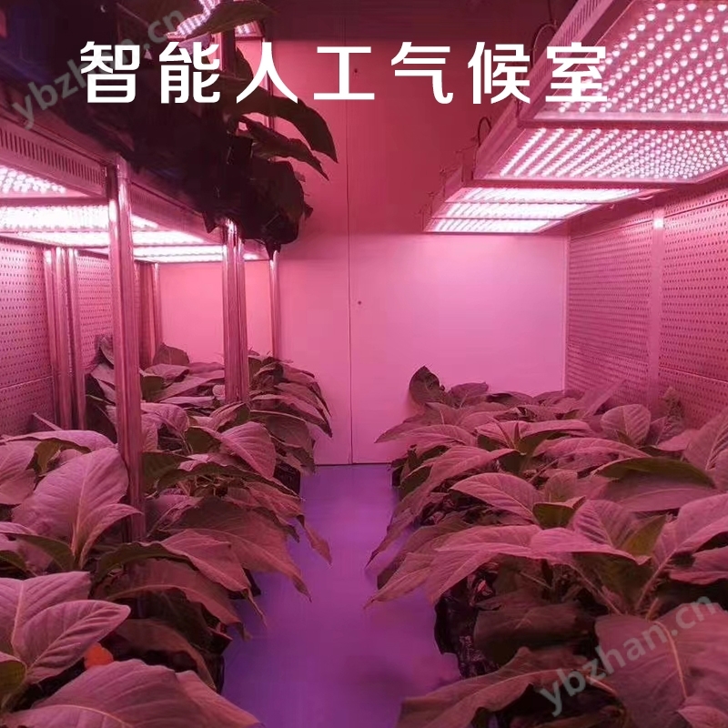 智能人工氣候室