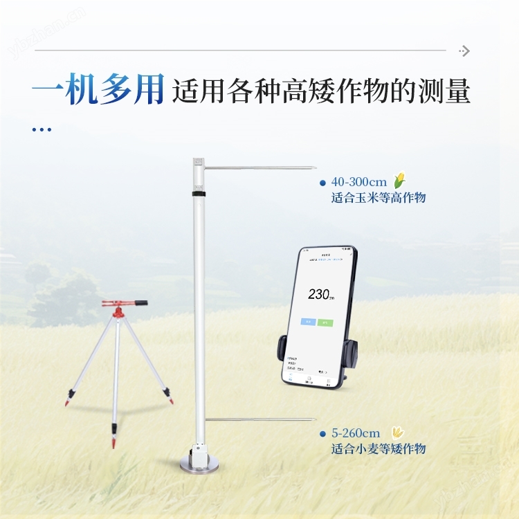 小麥株高測量儀