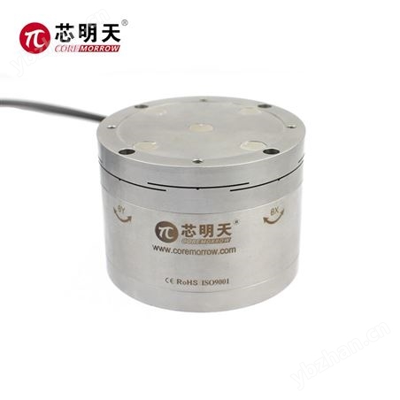 S34.T2S/KY系列壓電偏轉鏡