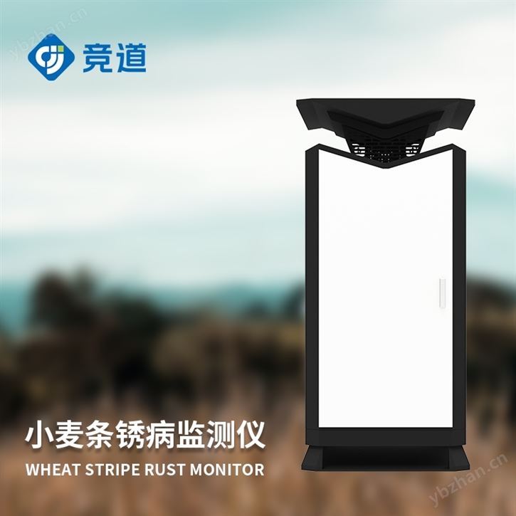 小麥條銹病調查方法